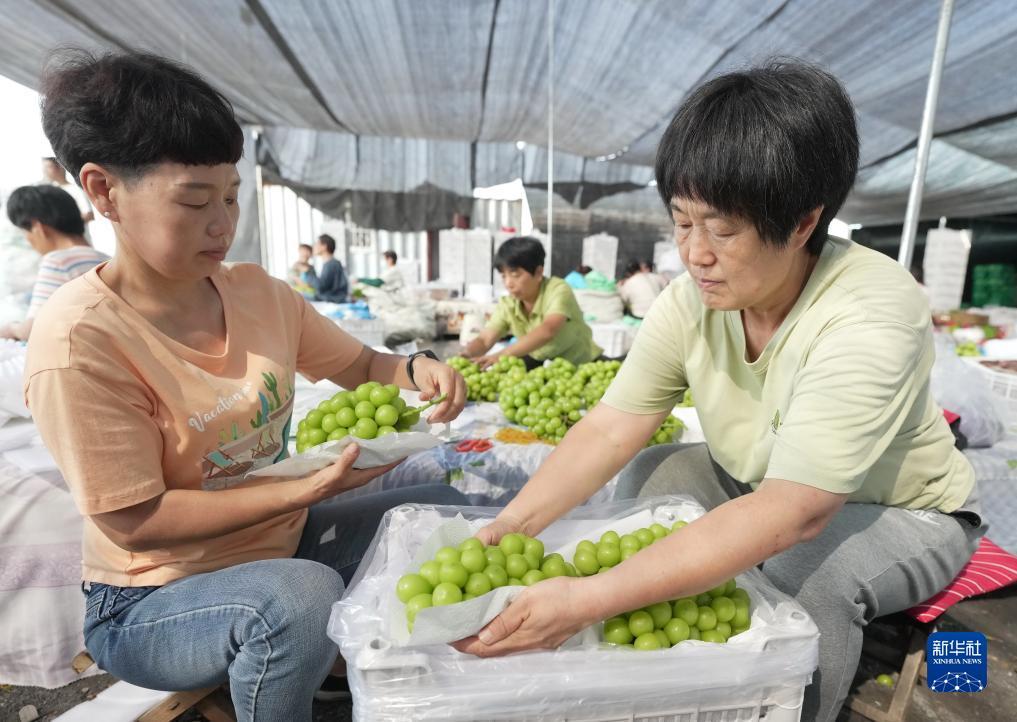 问鼎平台注册下载